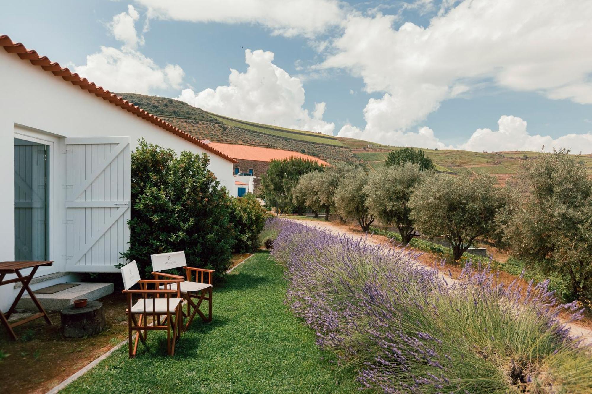 Ventozelo Hotel & Quinta Ervedosa do Douro Exterior foto