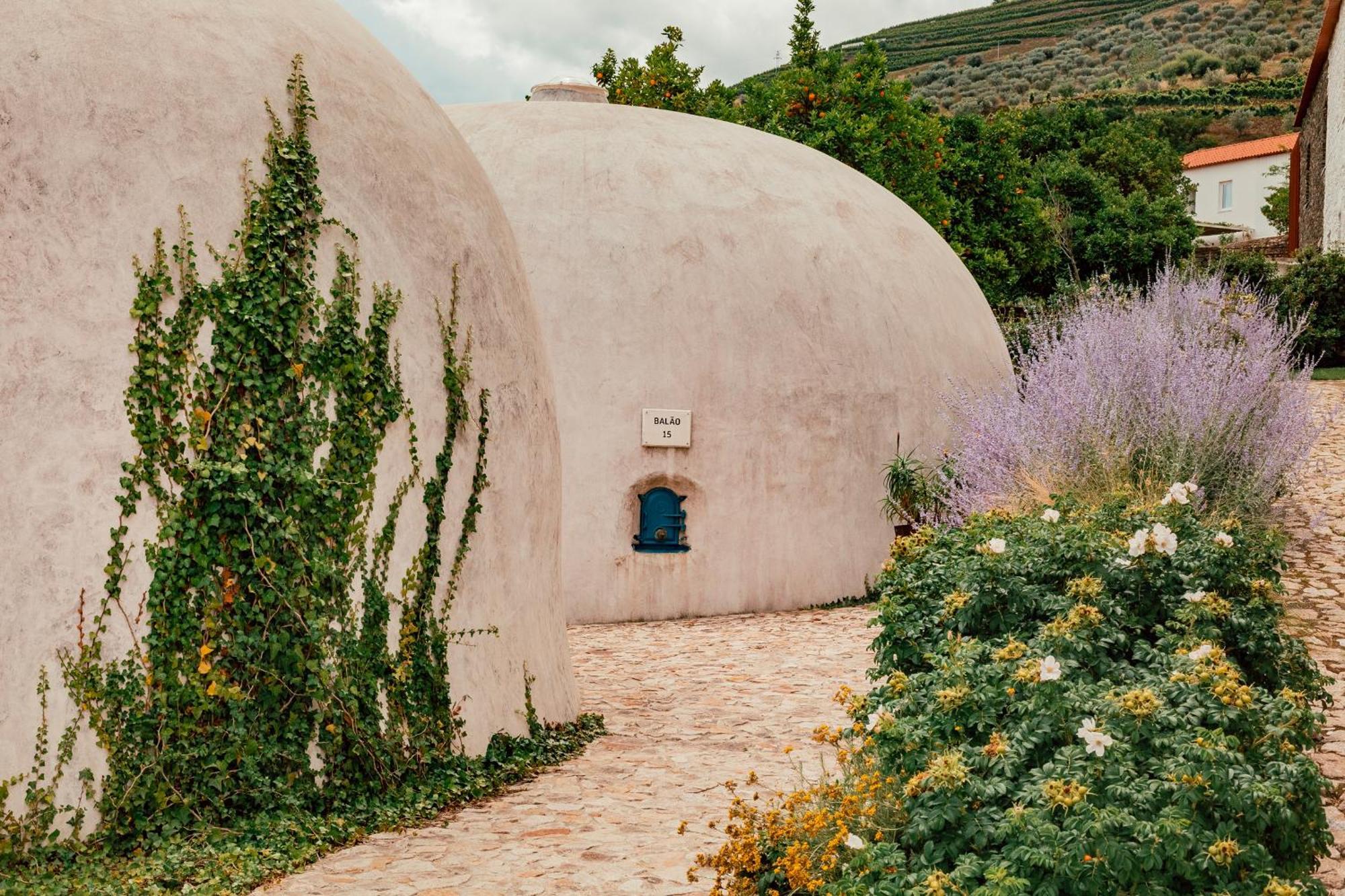 Ventozelo Hotel & Quinta Ervedosa do Douro Exterior foto