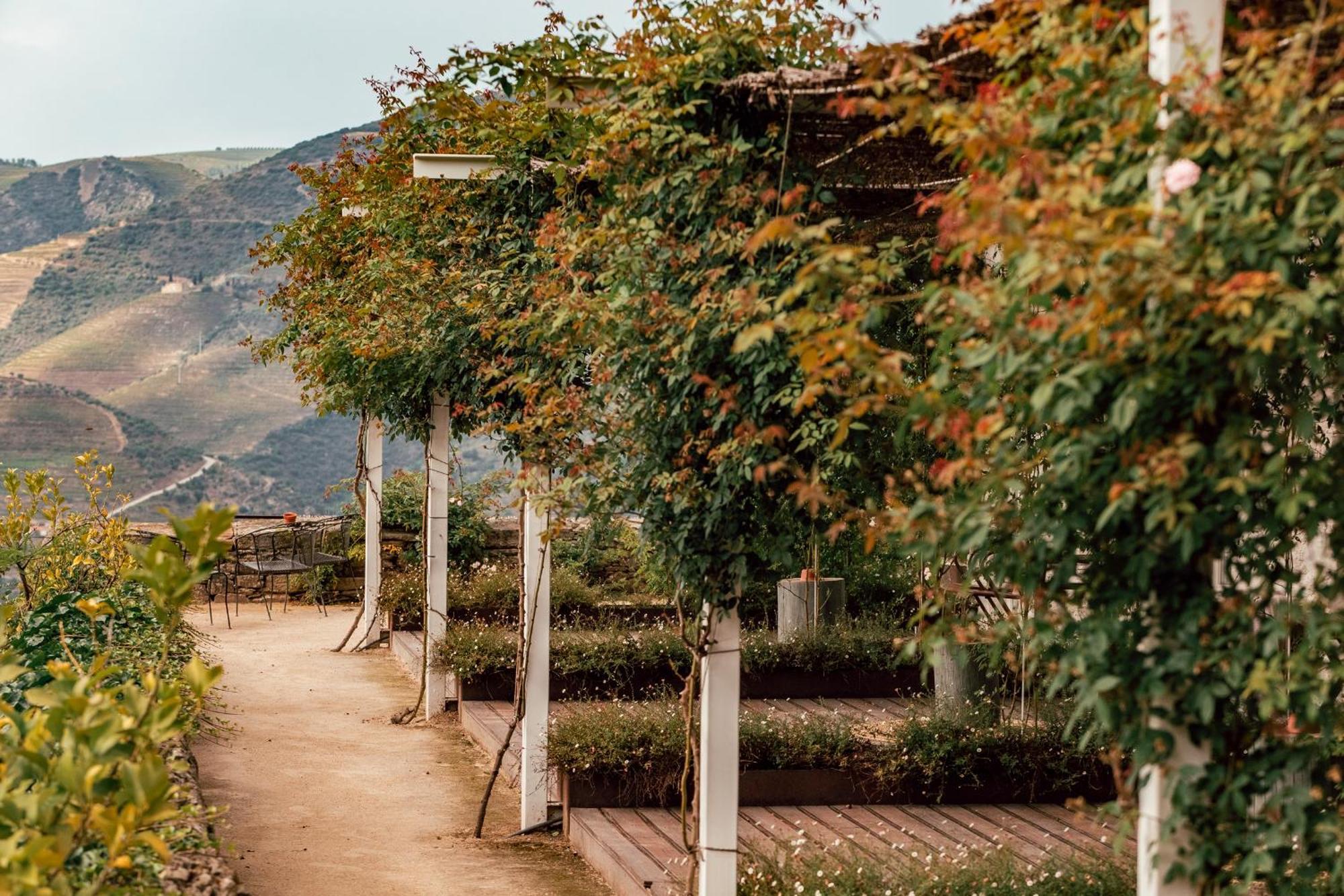 Ventozelo Hotel & Quinta Ervedosa do Douro Exterior foto