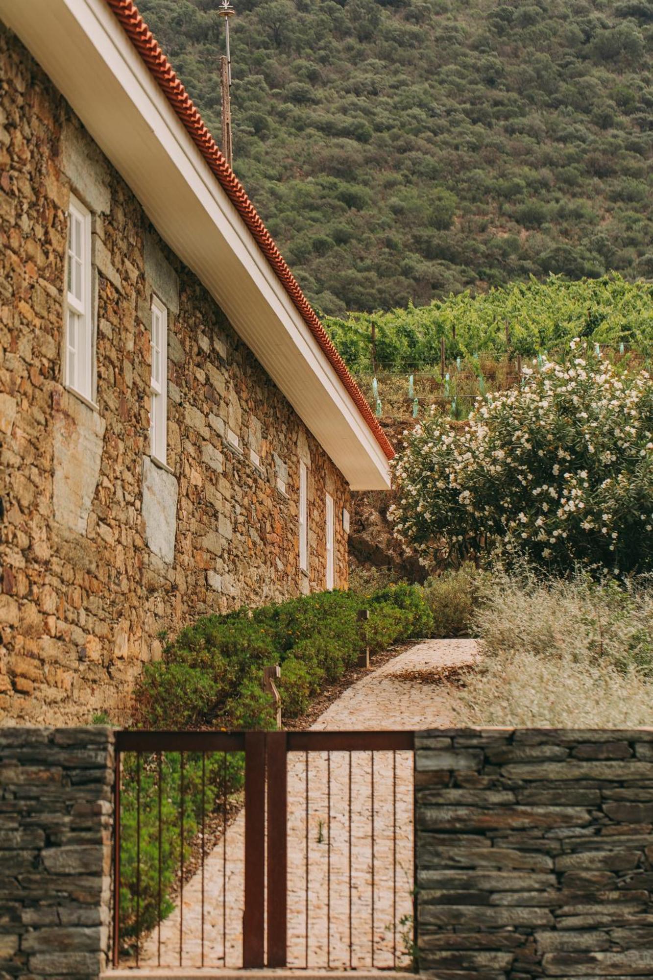 Ventozelo Hotel & Quinta Ervedosa do Douro Exterior foto