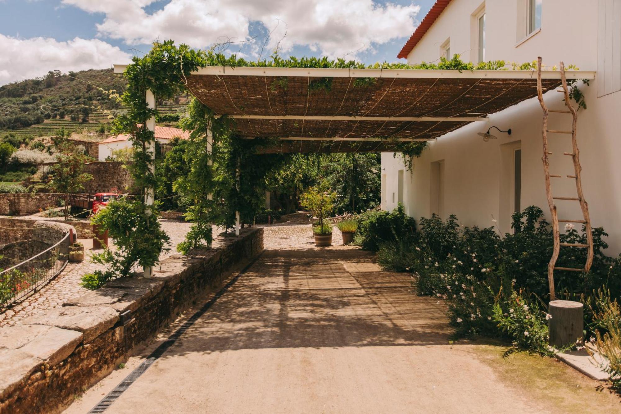Ventozelo Hotel & Quinta Ervedosa do Douro Exterior foto