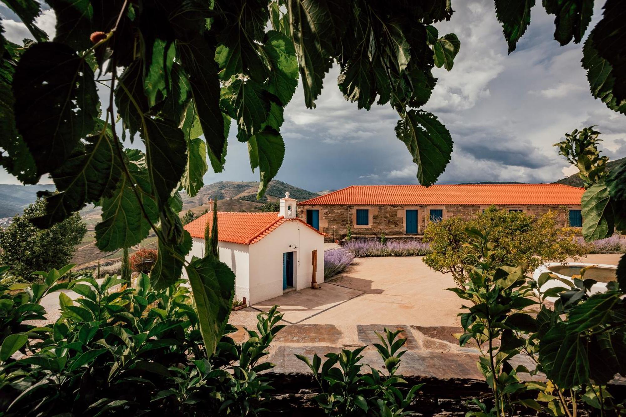 Ventozelo Hotel & Quinta Ervedosa do Douro Exterior foto
