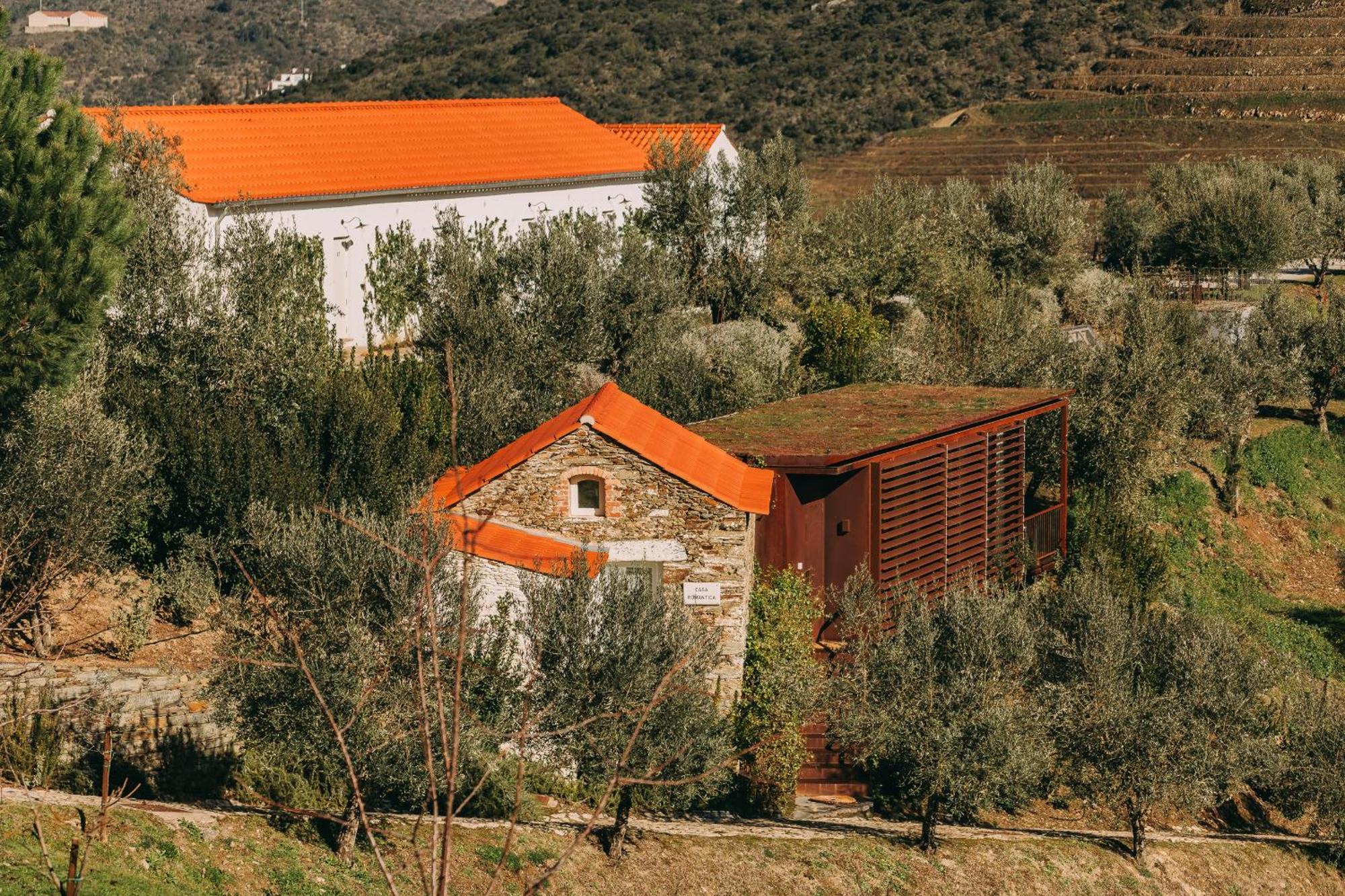 Ventozelo Hotel & Quinta Ervedosa do Douro Zimmer foto